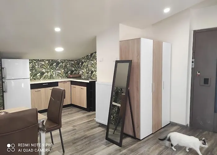 σοφίτα καλλύνω