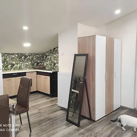 σοφίτα καλλύνω